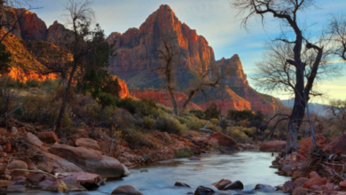 Where is Love in Zion National Park Filmed