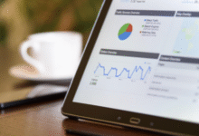 top franchise marketing agencies