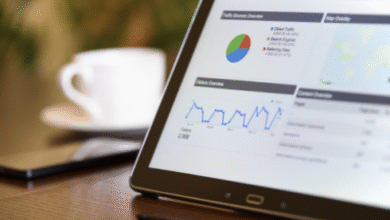 top franchise marketing agencies
