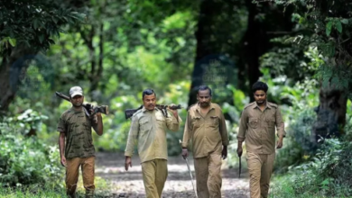 van vibhag bharti online