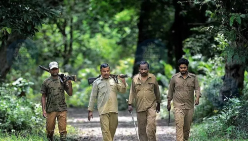 van vibhag bharti online