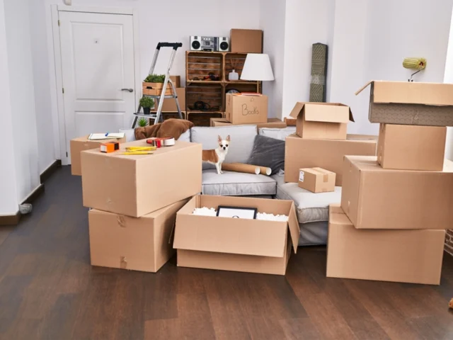 Moving Out of a Rented Property: A Tenant’s Guide to a Smooth Exit