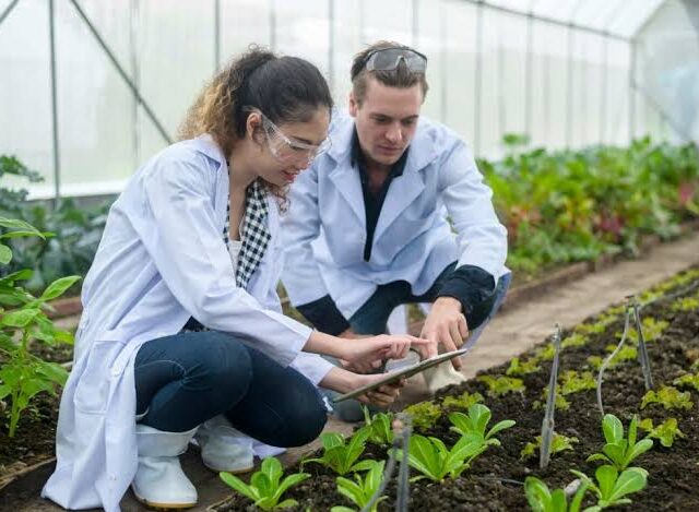 USDA Feasibility Study: A Key Step Toward Successful Agricultural Projects