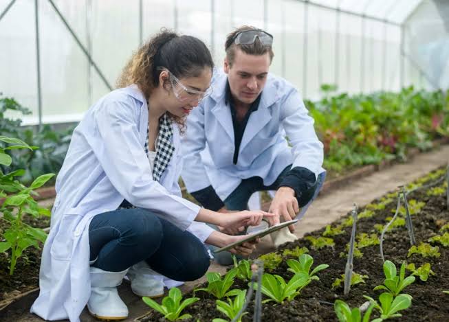 USDA Feasibility Study: A Key Step Toward Successful Agricultural Projects